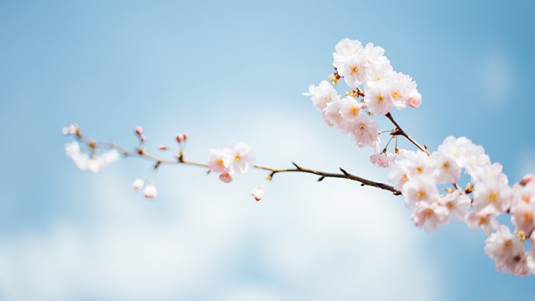 首页- 人生就是博中国官方网站