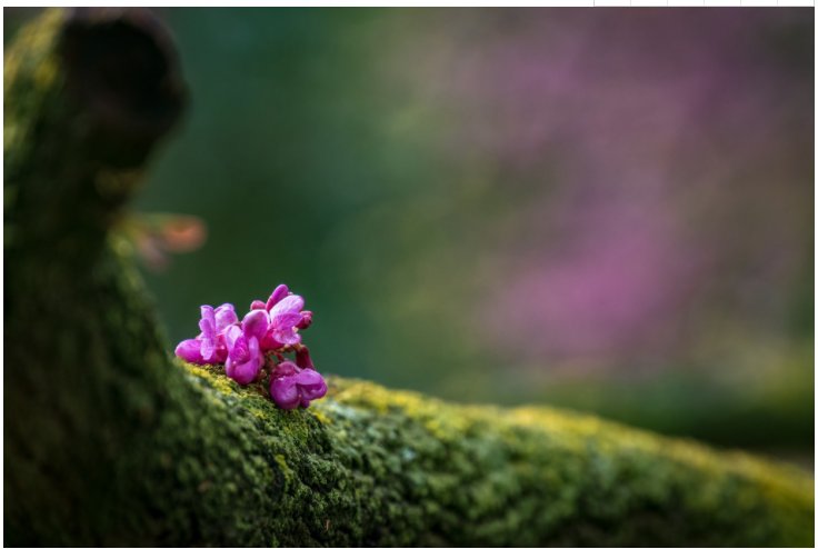 首页- 人生就是博中国官方网站