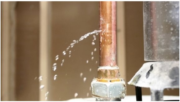 首页- 人生就是博中国官方网站