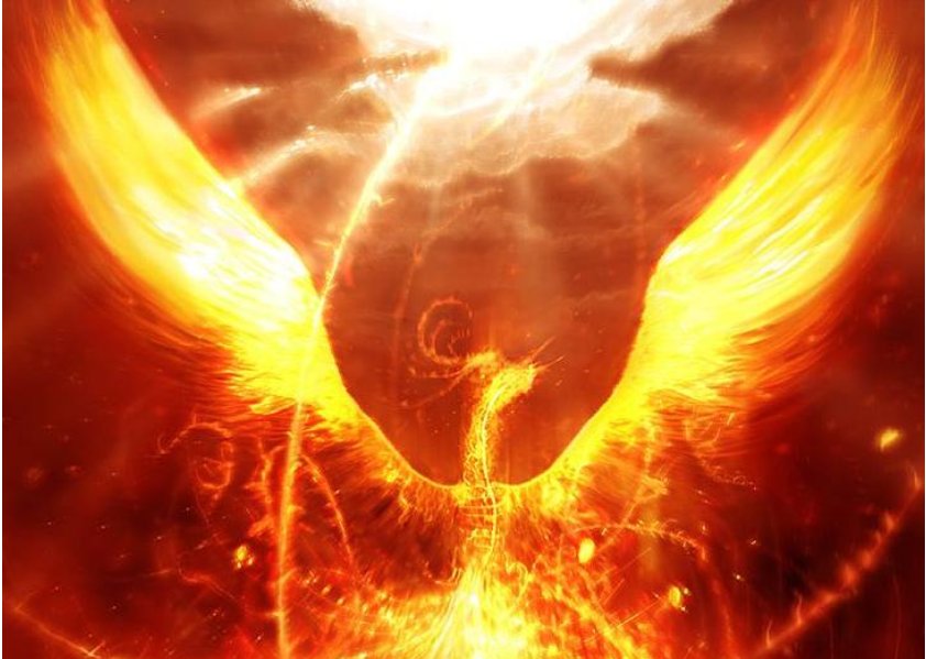 首页- 人生就是博中国官方网站