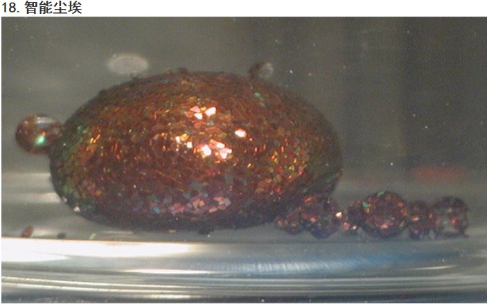 首页- 人生就是博中国官方网站